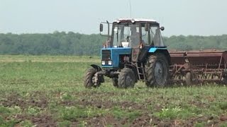 В Свердловской области началась заготовка кормов для животных