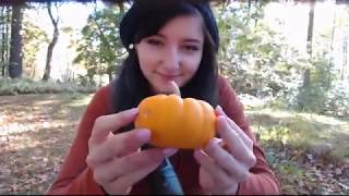 ASMR Fall Foraging Bundle