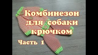 Комбинезон для собаки крючком, часть 1,DIY clothing for dogs and cats