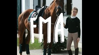 [FMA] Ein Tag im Stall | Mein Stalltag wenn ich nicht reite| Lucky Merle