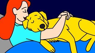 11 Maneiras De Os Cachorros Dizerem "Eu Te Amo"