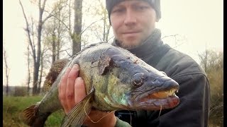 Рыбалка на реке Псел.Судак на 2 кг. Окуни и щуки