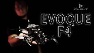 Мелкий и злой. 4 дюйма - компромисс или достоинство? [Iflight Evoque F4 HD]