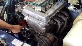 alfetta 2