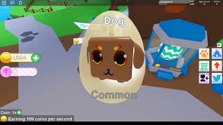 I'm back!! Roblox Pet Ranch simulator