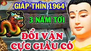 Tử Vi Chi Tiết Tuổi Giáp Thìn 1964 Giàu Có Đổi Đời 3 Năm Tới Tiền Nhét Đầy Két