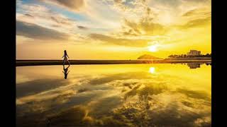 【Bedtime story 睡前听书】情商高就是会说话， High EQ means speak up for success