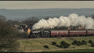 A Springtime 8F & Rear Gunner !  (2019)