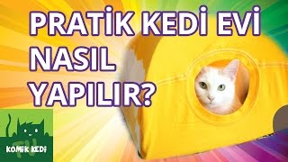 Kedi Videoları: Pratik Kedi Evi Nasıl Yapılır?