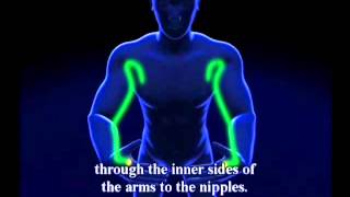 Eight Extraordinary Meridian Meditation Method/開通八脈法