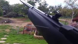 Crosman 1077 repeater review and shooting