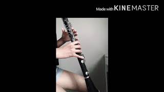 Fake Love-방탄소년단 Clarinet Cover.