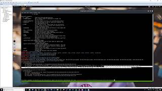 Reconnoitre Tool
