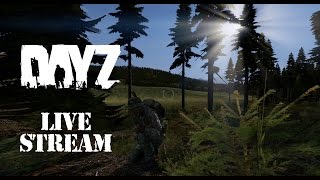 Amputee Sex & Night Death at NWAF a DayZ Livestream.