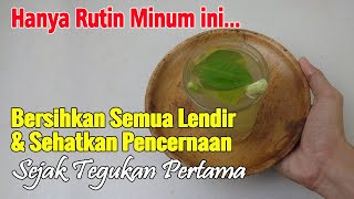 MINUM 1 GELAS, KELURKAN SEMUA LENDIR DAN SEHATKAN PENCERNAAN DENGAN MINUMAN INI