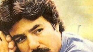 Ferdi Tayfur - Ne Senden Geçerim Ne Meyhaneden ( İ