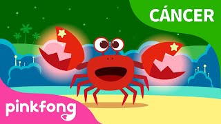 ¿En Qué Soy Bueno? Cáncer ????| Historia de los Signos de Estrellas | Pinkfong Cuentos Infantiles