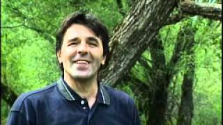 Zijad Sipovic - Odlazi od mene