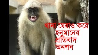 বাচ্চাকে মেরে আহত করায় থানা ঘেরাও, অনশন হনুমানের || Eksuhey ETV