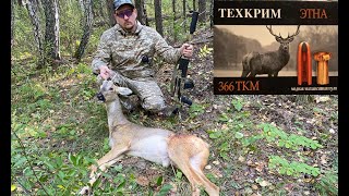 Охота на косулю на реву ТГ-2 патрон "Этна" 366 ткм. 18+