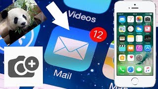 Как вставить фото или видео в приложении почта на iPhone