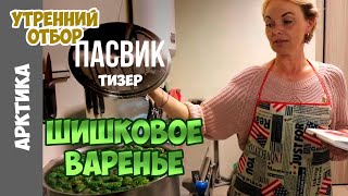 ШИШКОВОЕ ВАРЕНЬЕ из заповедника ПАСВИК
