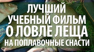ЛЕЩ НА ПОПЛАВОЧНЫЕ СНАСТИ С БЕРЕГА
