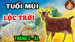 Tử Vi Tháng 5 Âm Lịch Tuổi Mùi Bùng Nổ Tài Lộc, Giàu Có Vang Danh Thiên Hạ