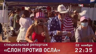 Слон против осла. Специальный репортаж. Анонс