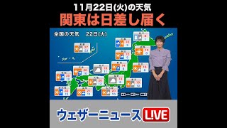 【夜の1分天気】明日11月22日(火)の天気予報 #Shorts