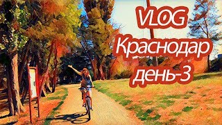 Отпуск в Краснодаре день - 3 / катаемся на велосипедах и трамвае/ ботокс волос / ВЛОГ