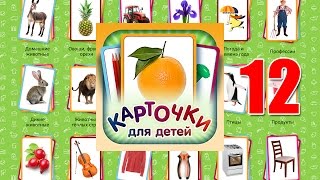Учебные Карточки (Домана) для детей №12 - Деревья