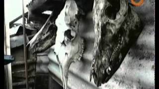 отМОРОЗки (Банда Морозова. RenTV)
