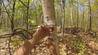 BUSHCRAFT TARP BUGNET KNOTS ROUTINE