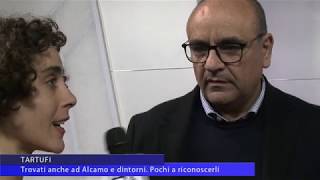 Regione, Commercio tartufi manca legge