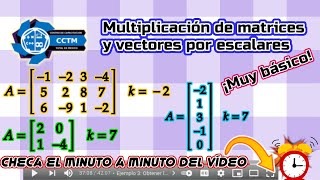 ???? Multiplicación de escalar (Número) por matrices y vectores | Con comprobación | ¡Muy básico!