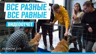Фестиваль "Знак равенства". Видеоотчёт от Rawmid