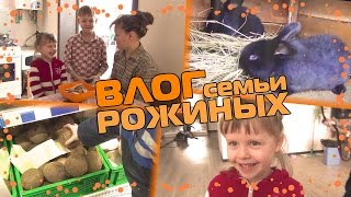 VLOG: МАША С НАСМОРКОМ, МАННАЯ КАША НА ЗАВТРАК, ПРИВЕТ КРОЛИКАМ ИЗ МЕДВИН LIVE, ПОКУПАЕМ ПРОДУКТЫ