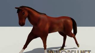 Лошадь с анимацией бега - 3D модель