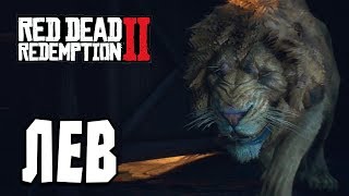 ЛЕВ, ЗЕБРА И ТИГР ➤ Прохождение #22 ➤RED DEAD REDEMPTION 2
