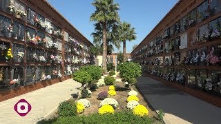 Mislata prepara la festividad de Todos los Santos