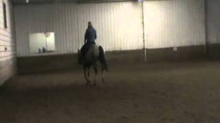 My T Danson Impulse - Bridleless