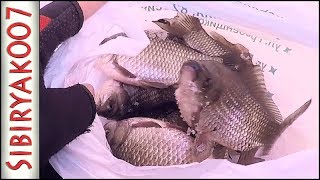 Ловля карася зимой. Первый опыт. Рыбалка в глухозимье 2019. Ловля на мормышку