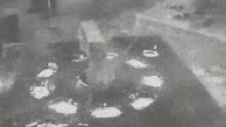Savoia-Marchetti SM-82 "Canguru" - 1940