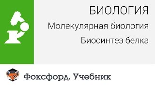 Биология. Молекулярная биология. Биосинтез белка. Центр онлайн-обучения «Фоксфорд»