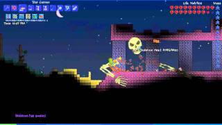 Terraria- How to summon and kill boss- Skeletron