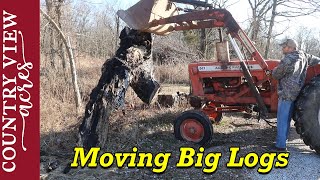 Moving big logs with an old tractor