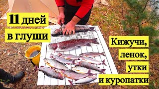 11 дней в глуши. Кижучи, ленок, утка и куропатки