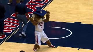 The University of Arizona-ZonaZoo Harlem Shake