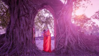 Deep Soul Cleansing Music | 528Hz Positive Energy | Soothing Meditation | Chakra Healing Energy